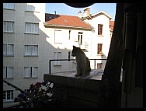 0044 28juin